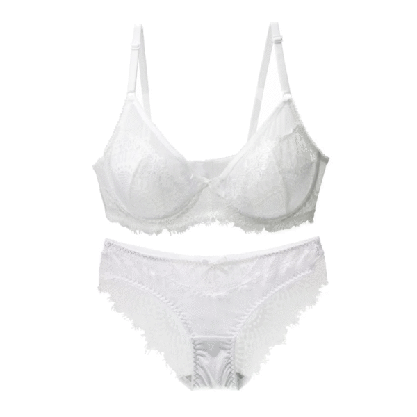 Чипкани сет гаће и грудњак са жицом 25А - 52G