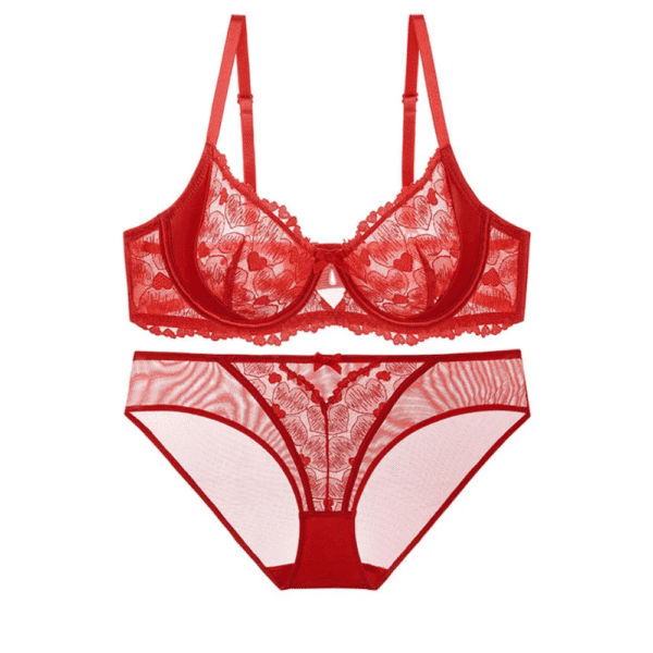 Сет грудњак са жицом и гаће  28А - 52G